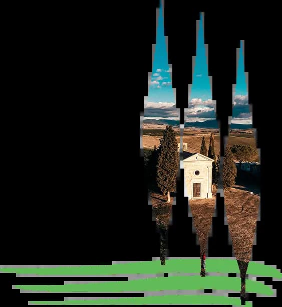 About ALT IMAGE